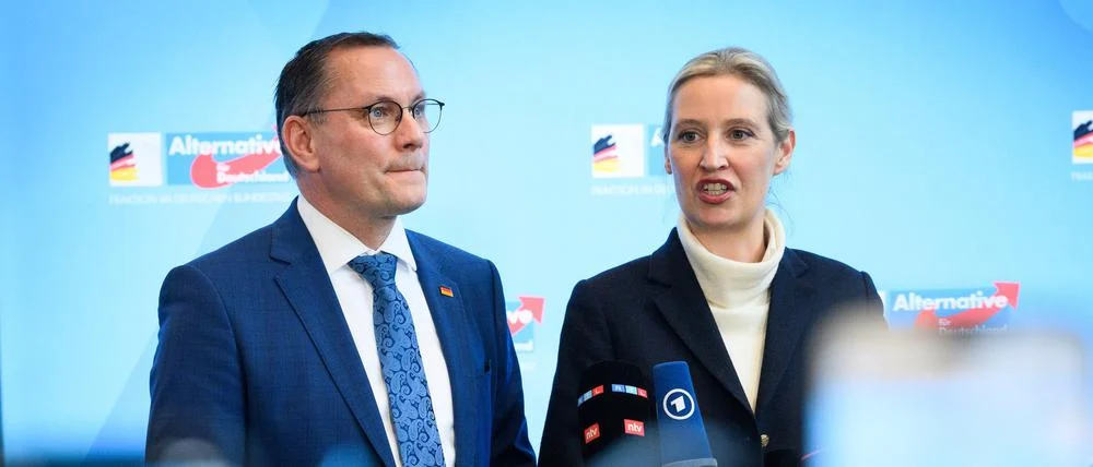 AfD aşırı sağcı olarak sınıflandırılmıştı l