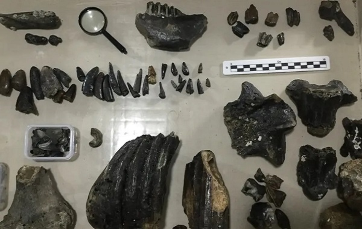 İzolasyon Teorisi çürüdü l