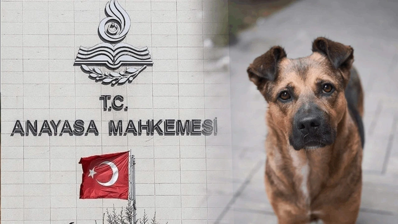 ‘Katliam Yasası’nda AYM kararı |