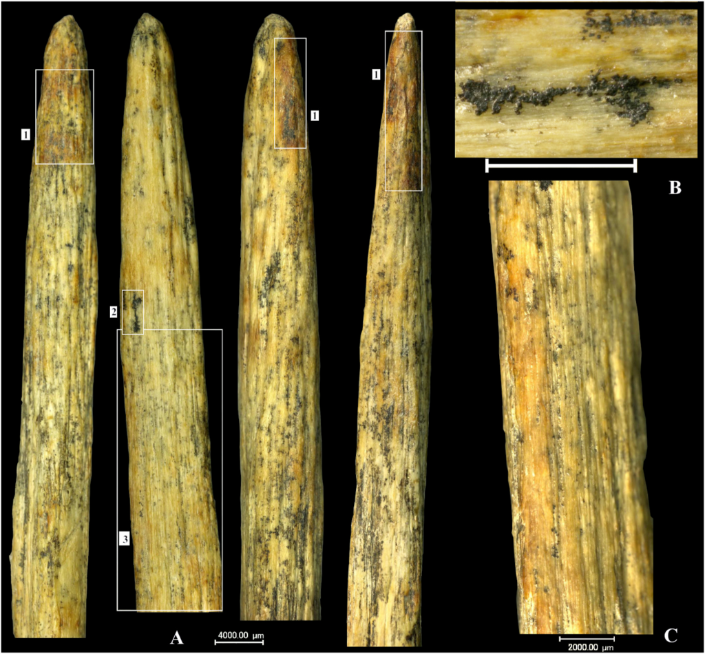 Neandertallerin avlanma teknikleri |
