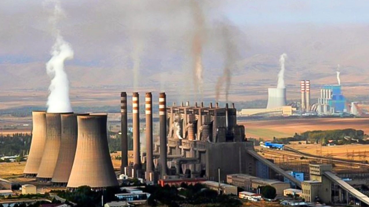 Greenpeace raporu |