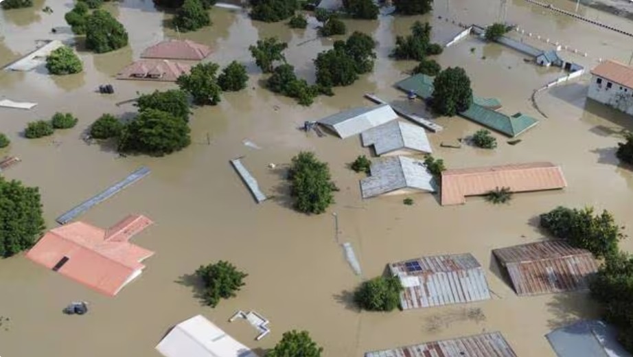 Nijerya’da sel felaketi I