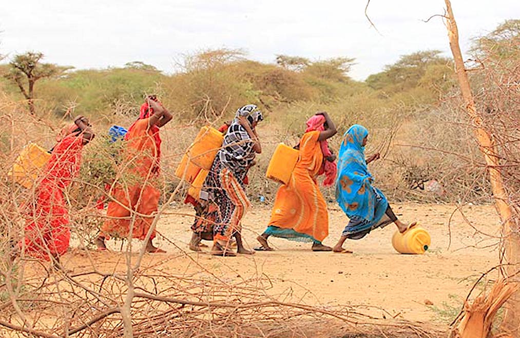 Ortadoğu ve Kuzey Afrika’daki iklim krizi l