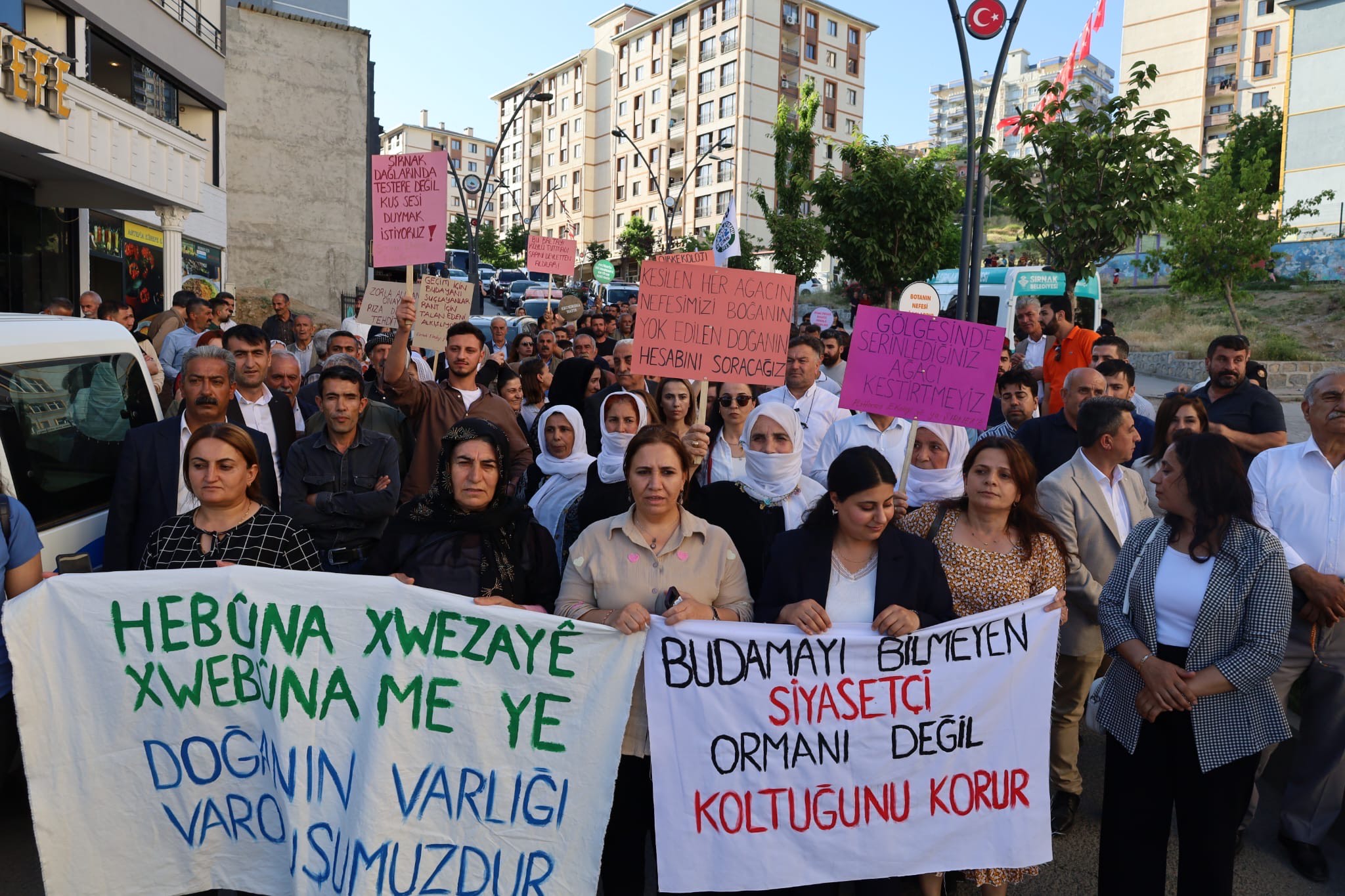 Şırnak’ta ağaç kesimine tepki I