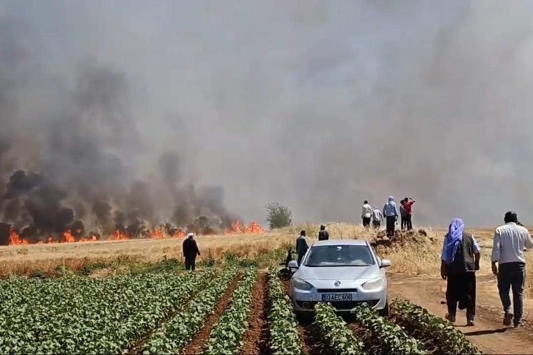 Urfa’da tarla yangını |