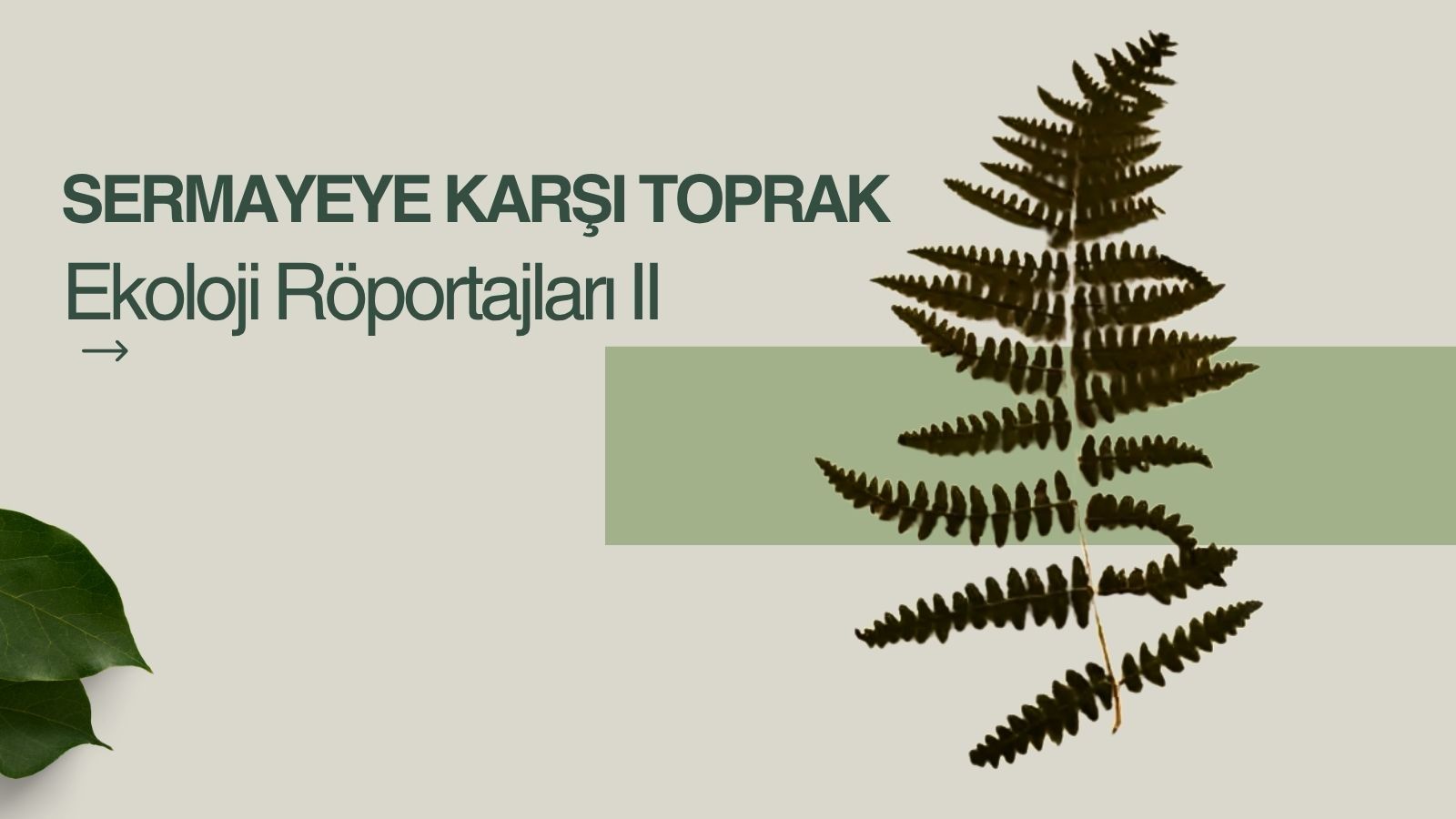 Ekolojist Menekşe Kızıldere ile röportaj I