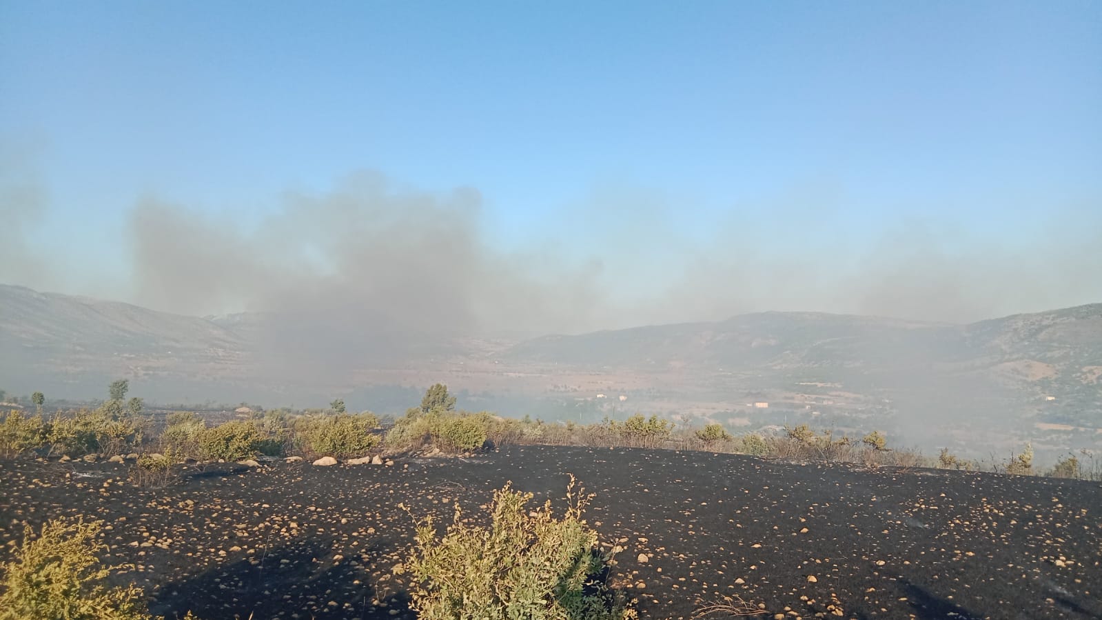 Diyarbakır’da yangın |