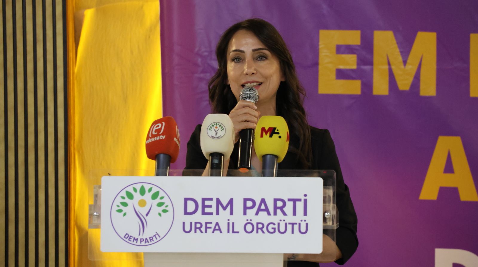 DEM Parti Urfa 1. Olağanüstü Kongresi l