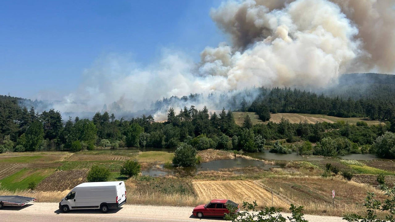 Bursa’da iki ilçede orman yangını: