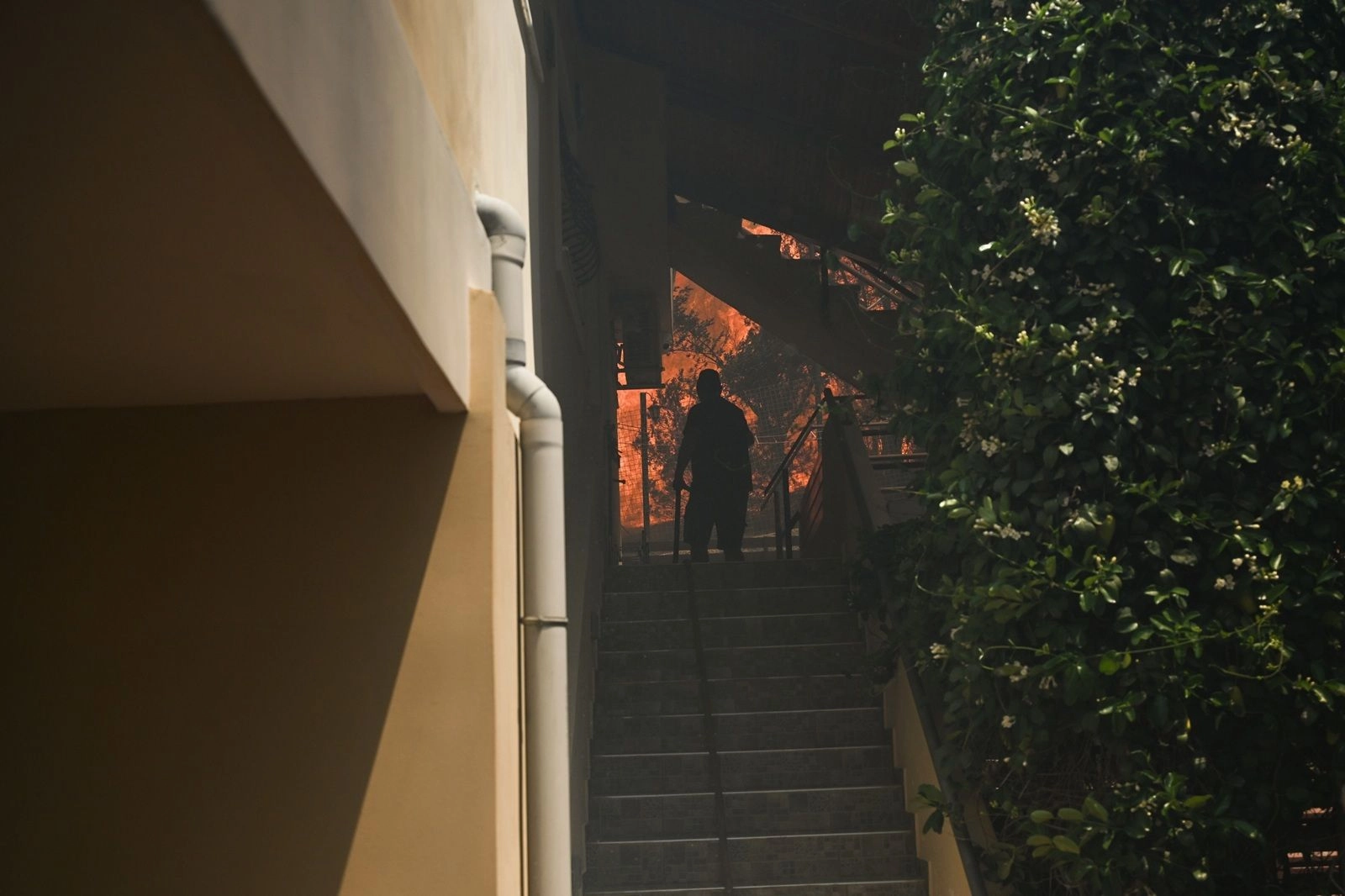 Palaia Fokaia’da çıkan yangın, rüzgarın etkisiyle hızla yayıldı, bazı evler yandı, yerleşim alanları boşaltıldı. Sahil yolu ulaşıma kapatıldı, bölgede tehlike sürüyor.