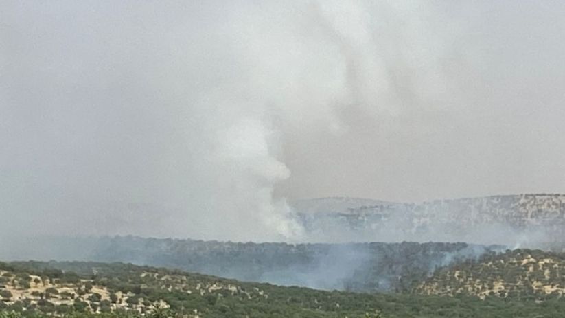 Mazıdağı’nda yangın I