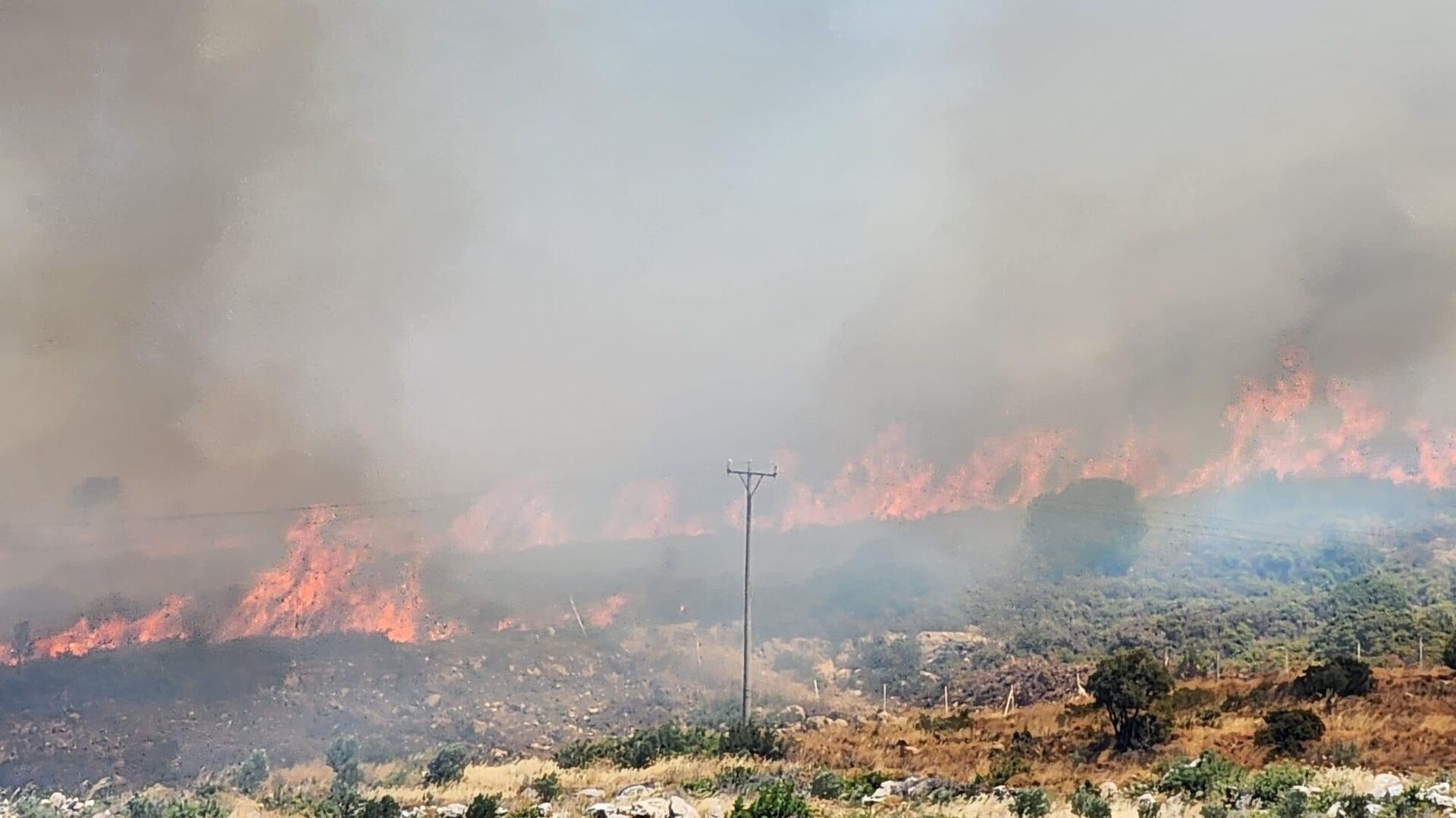 İzmir’de bir ayda 3 bin 300 yangın |