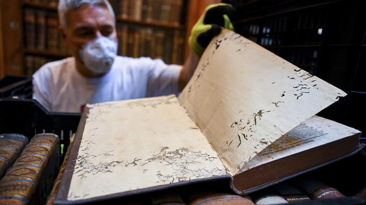 UNESCO Dünya Mirası Listesi'nde yer alan Pannonhalma Manastırı Kütüphanesi, “ekmek böceği” tarafından istila edildi. Yaklaşık 100 bin el yapımı eser nitrojenle dezenfekte edilmek üzere özel torbalara alındı.