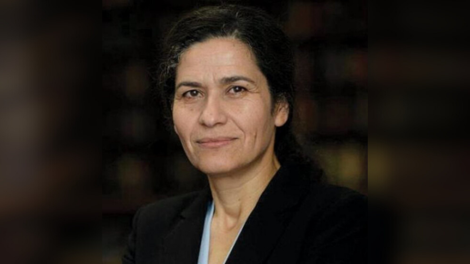 İlham Ahmed: Silahsızlanma değil, entegrasyon sürecindeyiz |