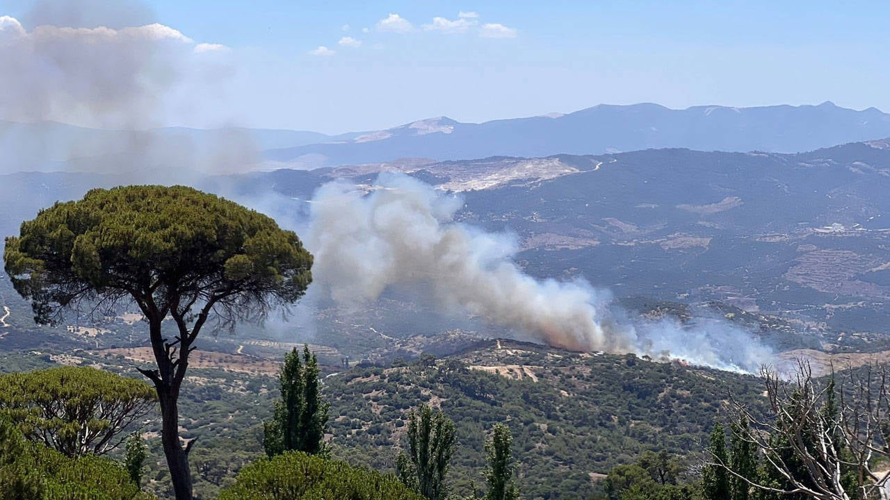 Aydın, Kütahya, Balıkesir, Bursa ve İzmir’de çıkan orman ve arazi yangınlarına havadan ve karadan müdahale ediliyor. Muğla’nın Bodrum ilçesindeki yangın ise kontrol altına alındı. Bölgede soğutma çalışmaları devam ediyor.