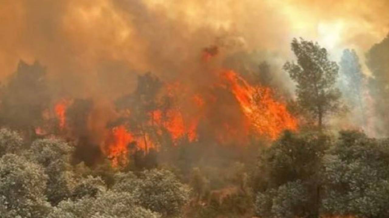 Eskişehir’deki orman yangınına müdahale ediyorlardı