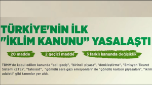 MAPEG 2024 verileri