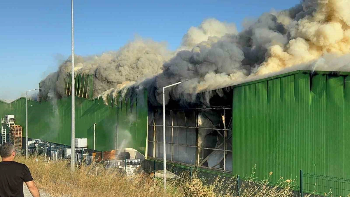 Gönen’de süt ürünleri fabrikasında yangın |