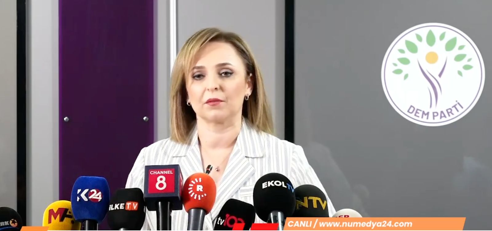 Doğan: Kürt meselesi çözülmeden Türkiye demokratikleşemez |