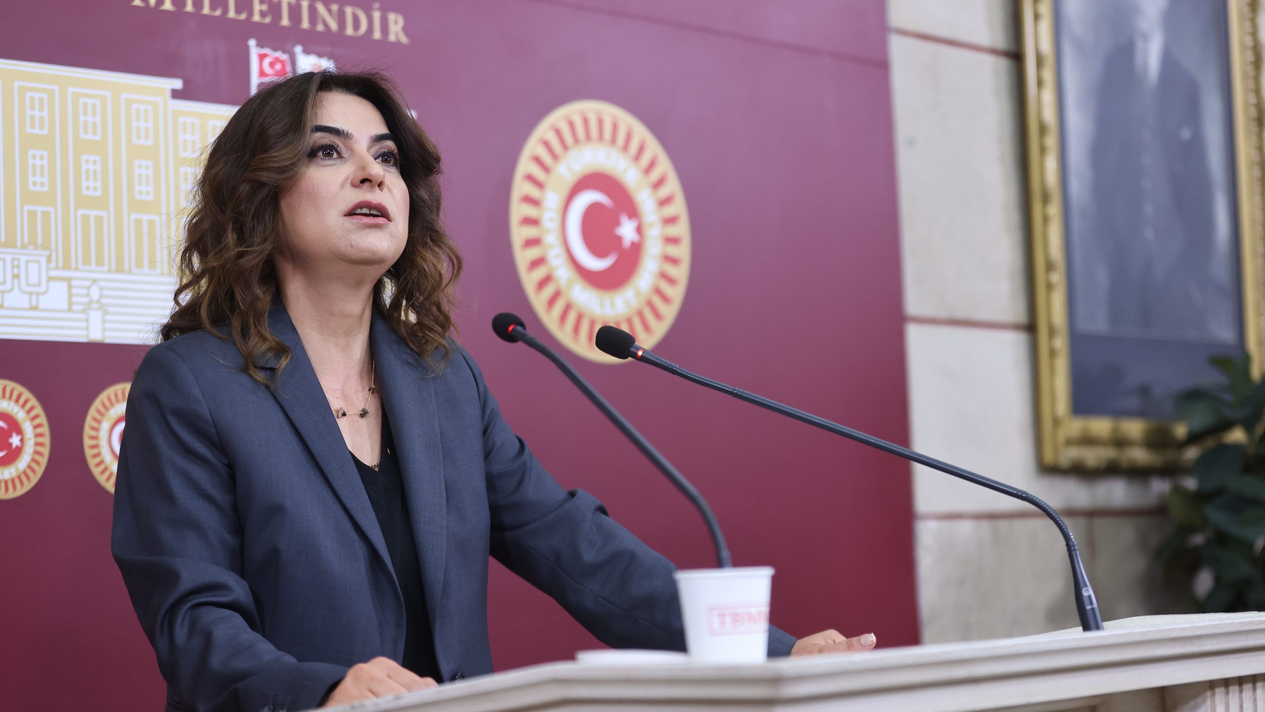 “Toplum bilgilendirilmeli” |