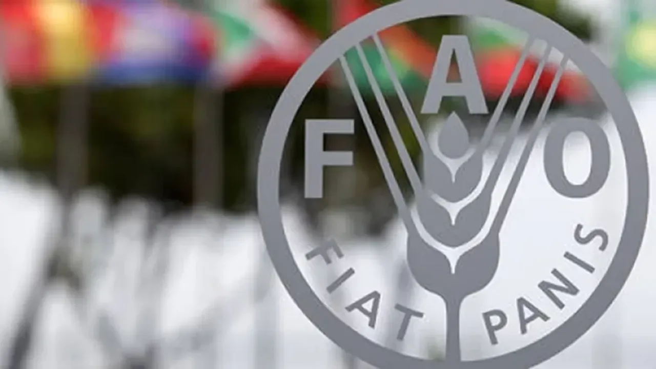 FAO raporu: Küresel gıda fiyatlarında artış var |