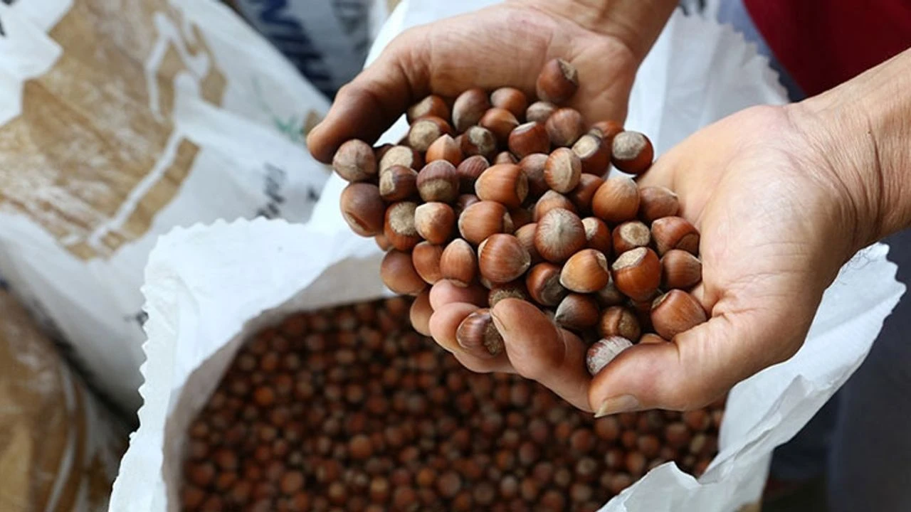 Fındık alım fiyatları açıklandı, tepkiler geldi |