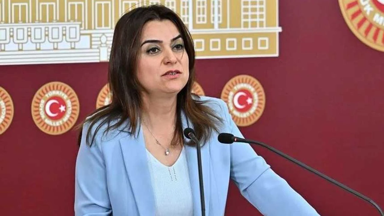 Koçyiğit: Komisyonun bir yol haritası yok |