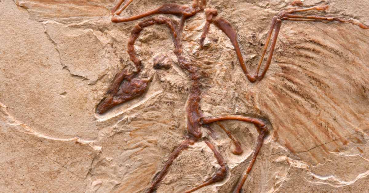 Dinozorlardan önce yaşamış |