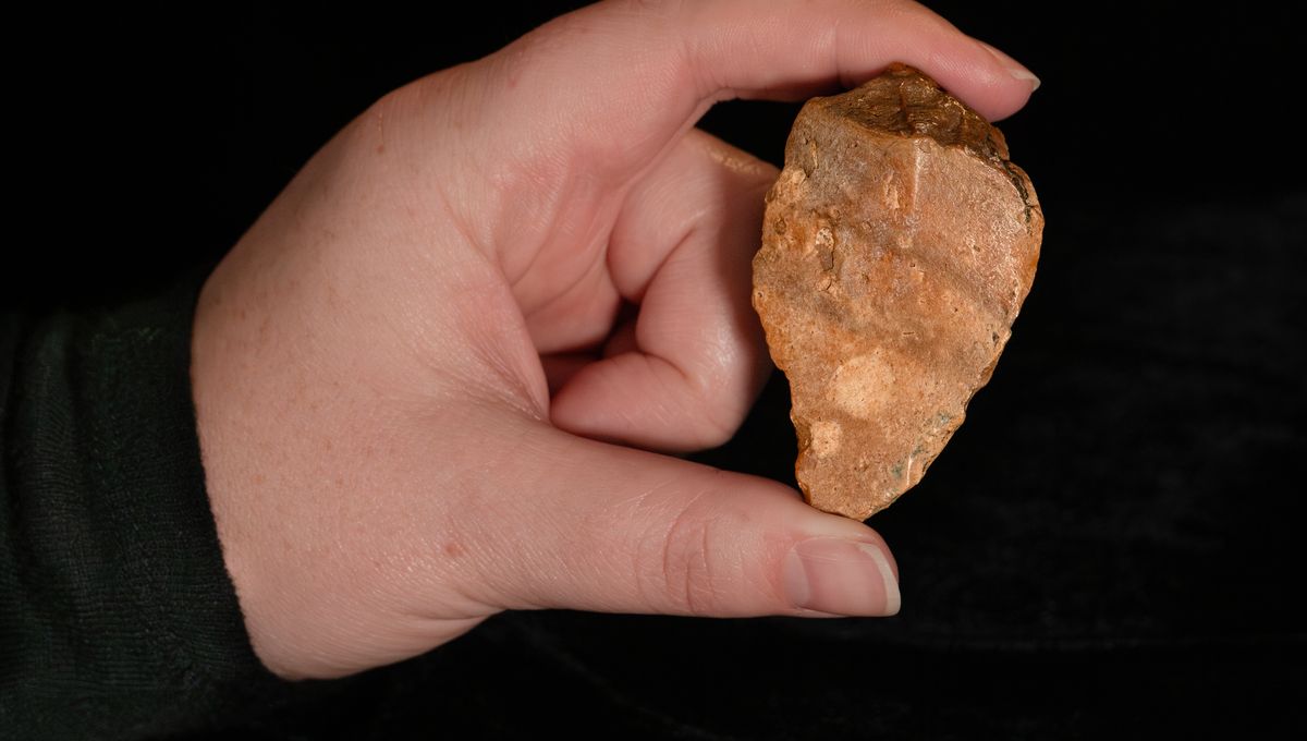 İnsanlık tarihinde okyanusu ilk aşan Homininler mi? |