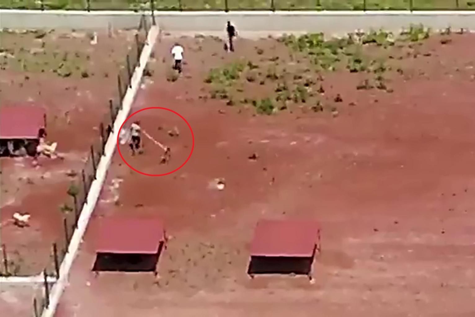 Belediye barınağında köpeklere şiddet |