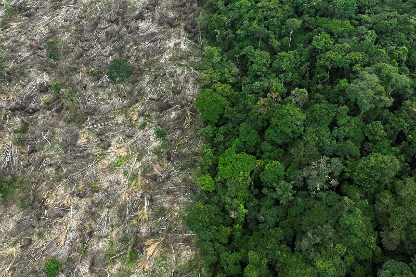 Nature Communications’ta yayımlanan araştırmaya göre, Amazon’daki kuraklık artışının yüzde 74,5’i ormansızlaşmadan kaynaklanıyor. Bilim insanları, “Küresel ısınma etkili ama asıl sorun ağaç kaybı” dedi.