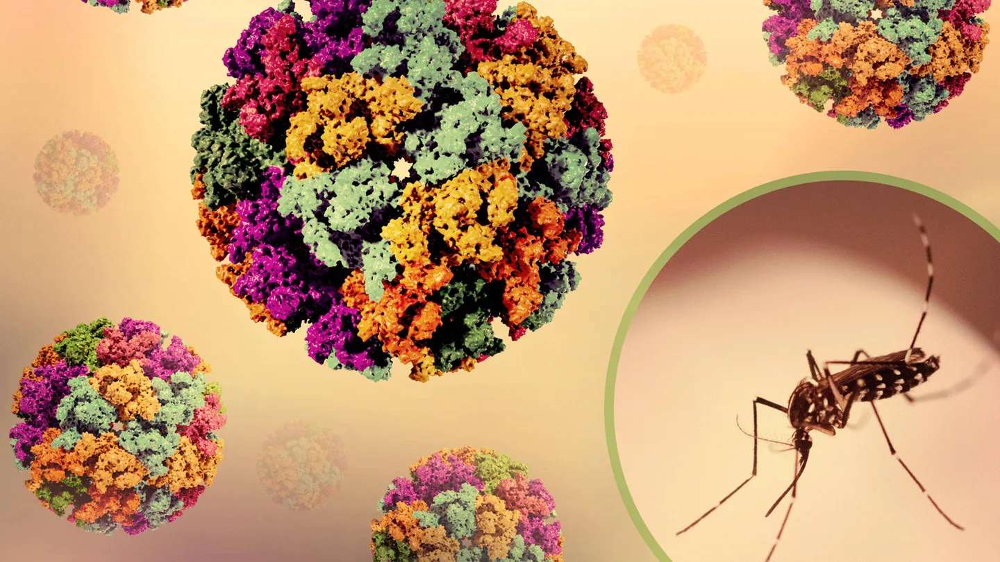 Çin’de Chikungunya salgını için acil durum |