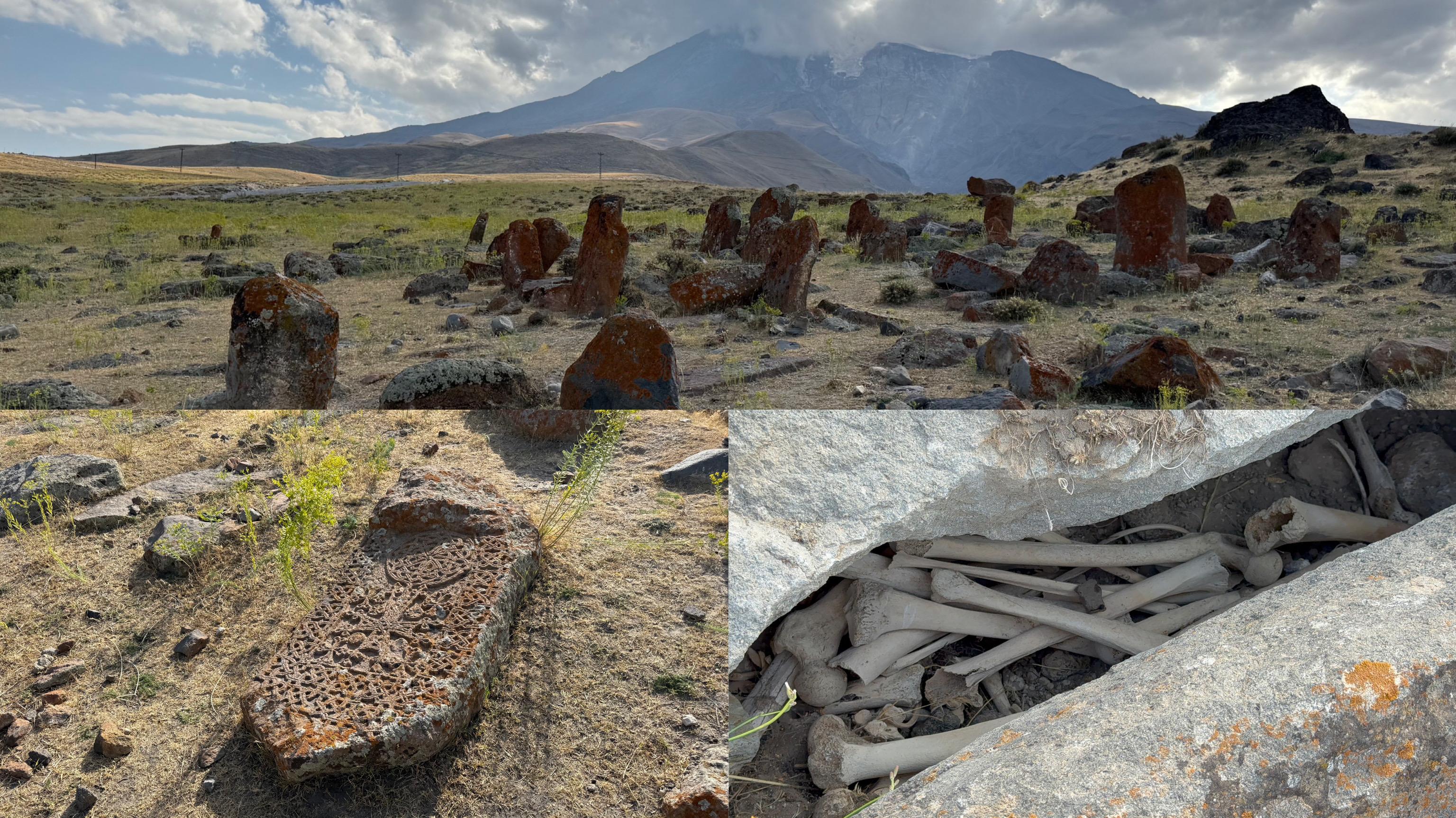 WhatsApp Image 2025-09-02 at 11.48.13