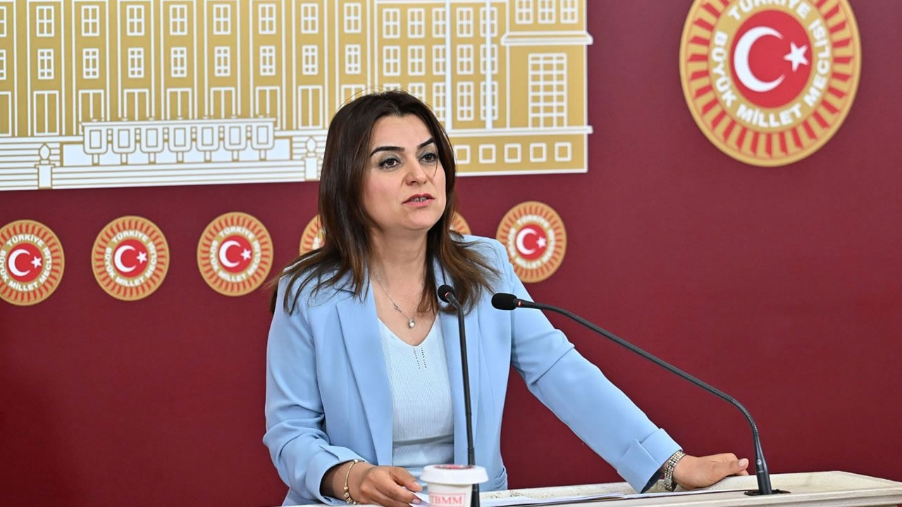 DEM Parti’den ‘yasal düzenleme’ çağrısı: