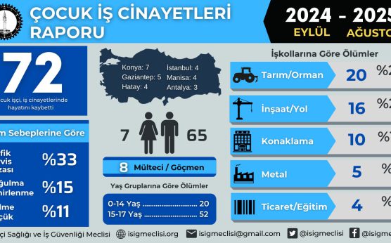 İSİG 2024-2025 Eğitim Öğretim Yılı raporu |