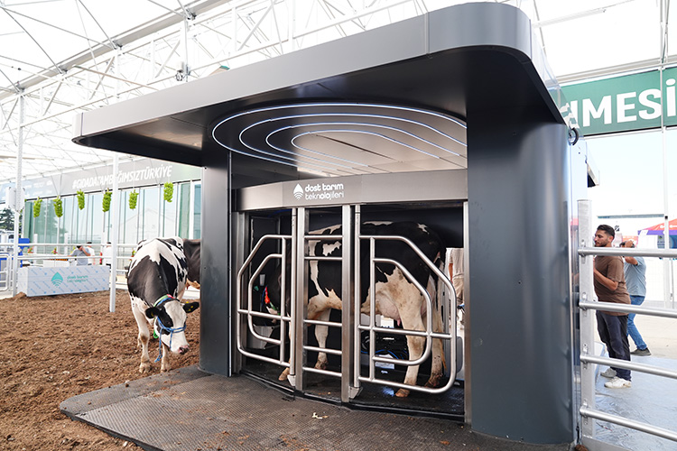 Yerli, milli ve hasta I