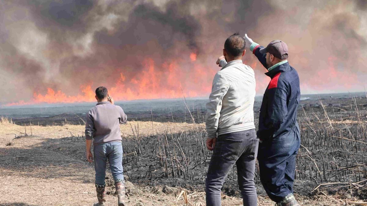 200 kuş türüne ev sahipliği yapıyor |