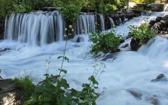 Dersim ilk sırada I
