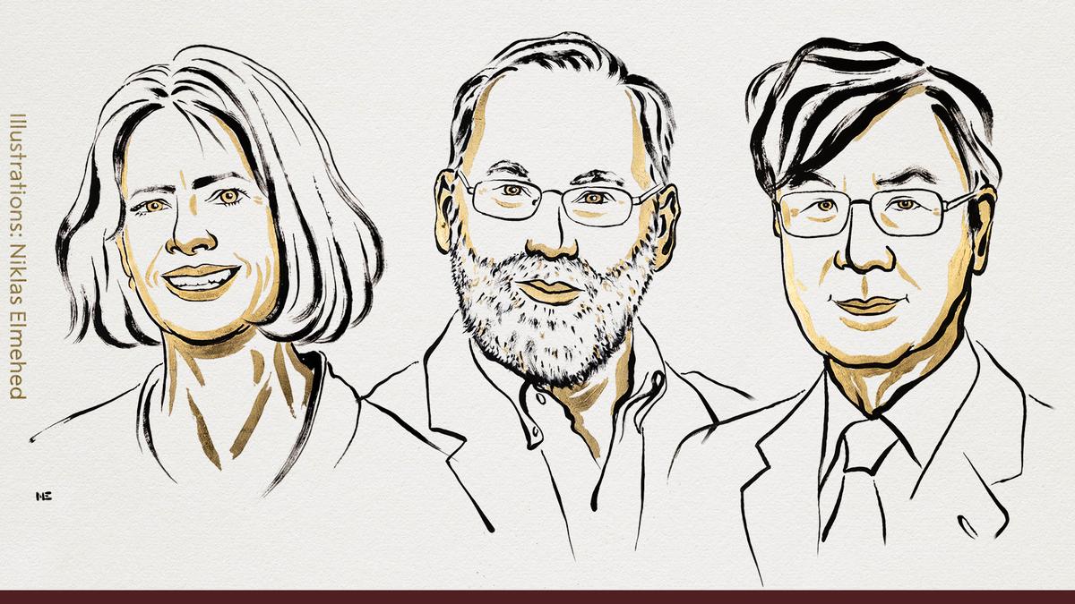 2025 Nobel Ödülleri |