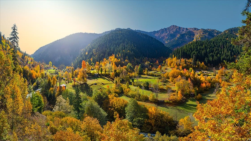 Yeni taslağın hedefinde ormanlar var l