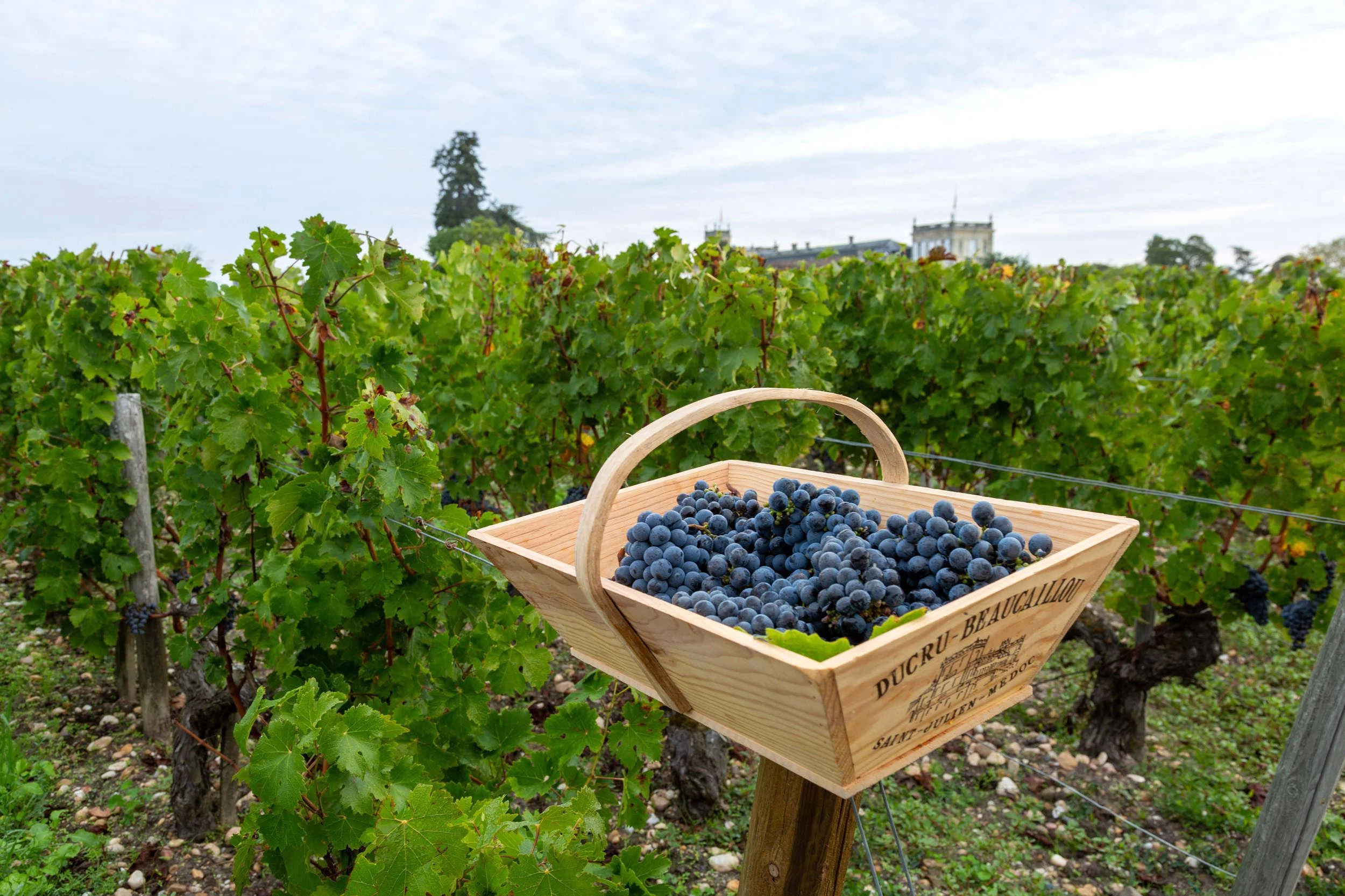 İklim krizi, artan maaliyetler |