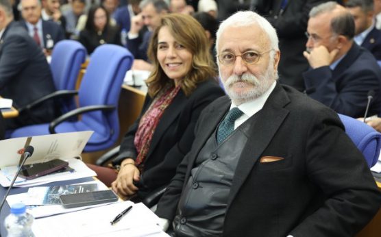 “Kayyumlarla ilgili düzenlemenin eli kulağında” |