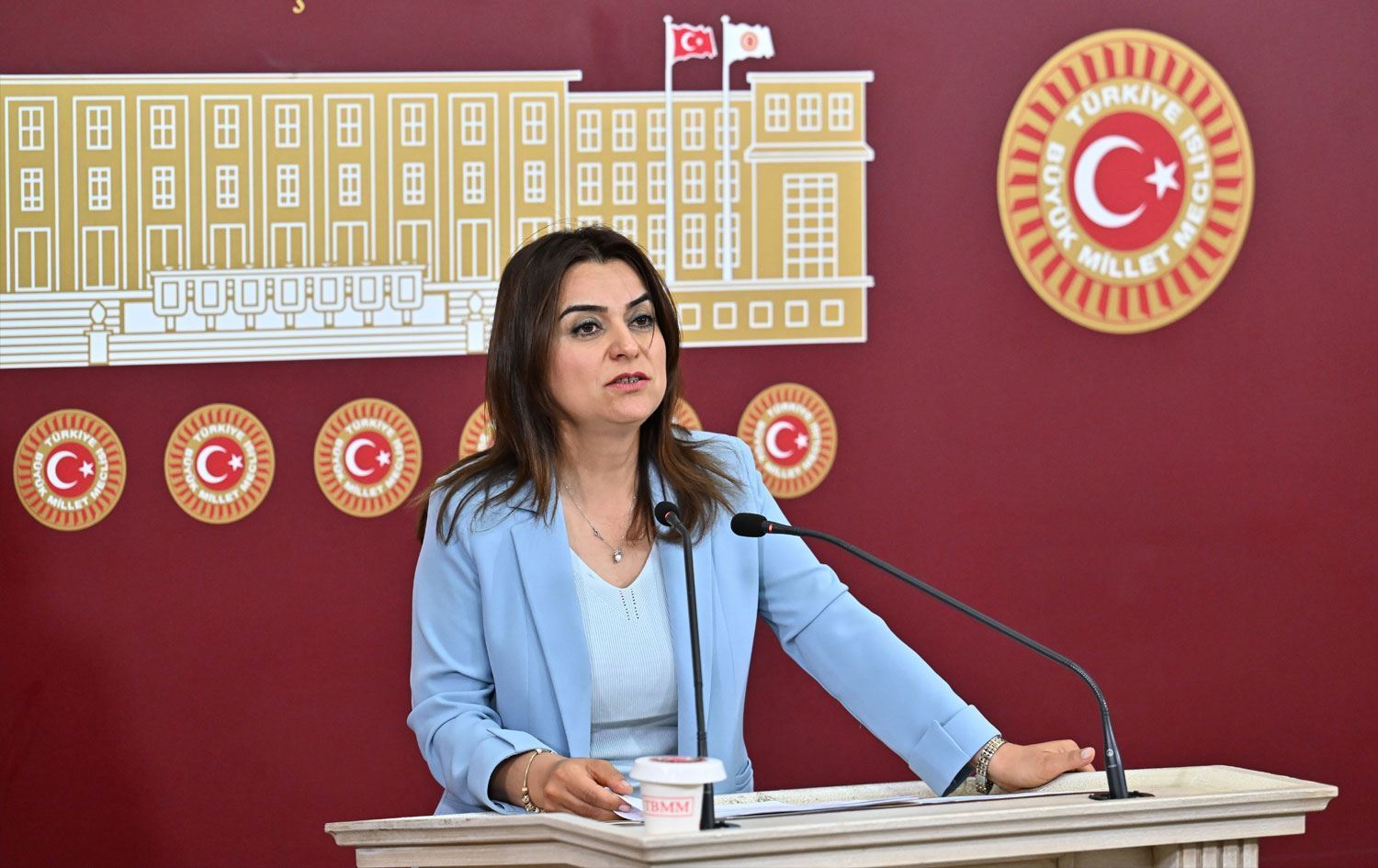 Koçyiğit, İmralı görüşmesi için konuştu: