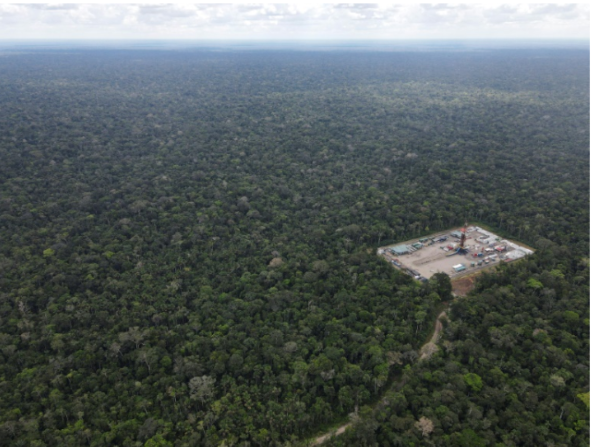 ‘Amazon’u koruyacağım’ demişti I