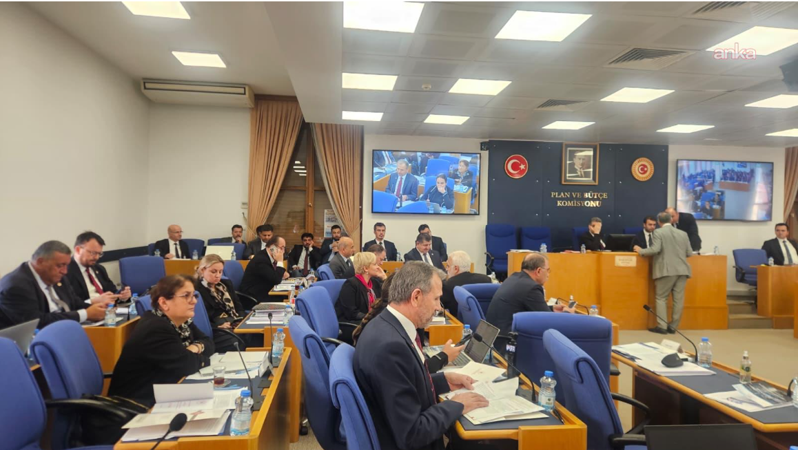 Savunmaya 2 trilyon, kadına 51 kuruş I