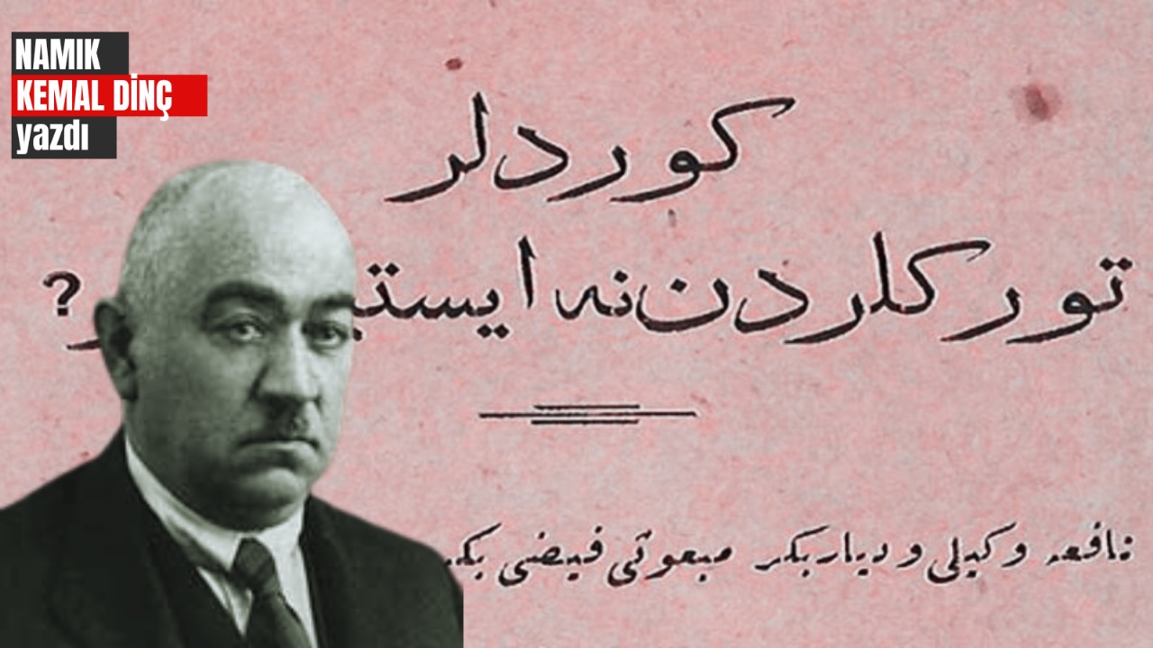 Namık Kemal Dinç yazdı |