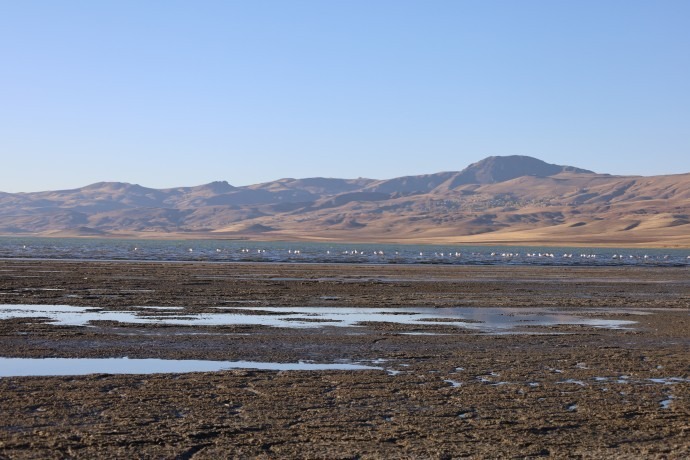 240 gölün 186’sı kurudu |