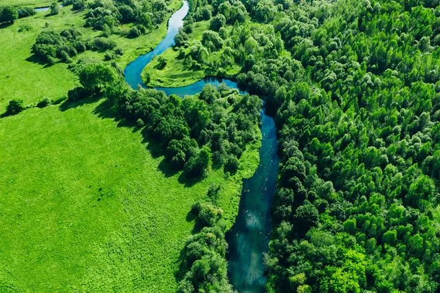 Amazon tahribatı iddiası |
