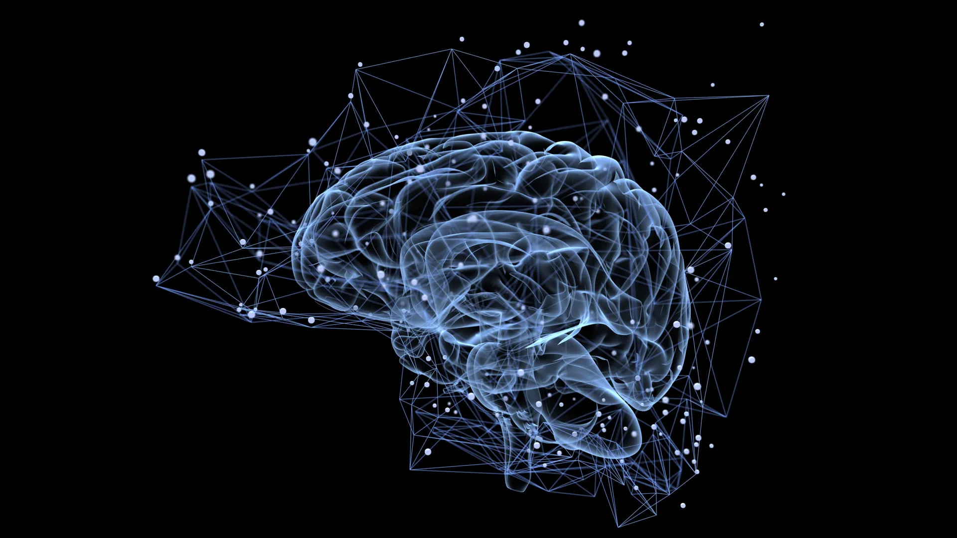 Beyin anıları nasıl seçiyor? |