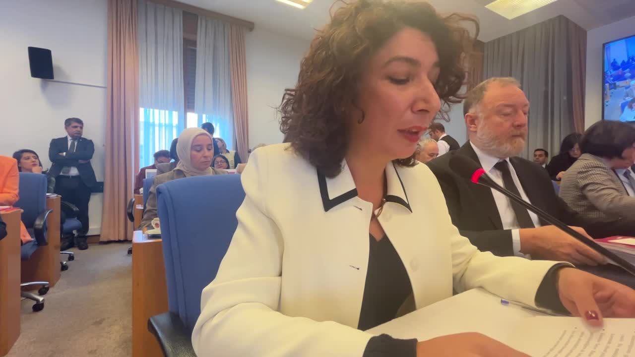 DEM Partili Türkoğlu eleştirdi: